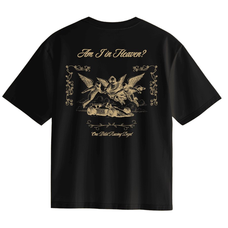 AM I IN HEAVEN? (T shirt)