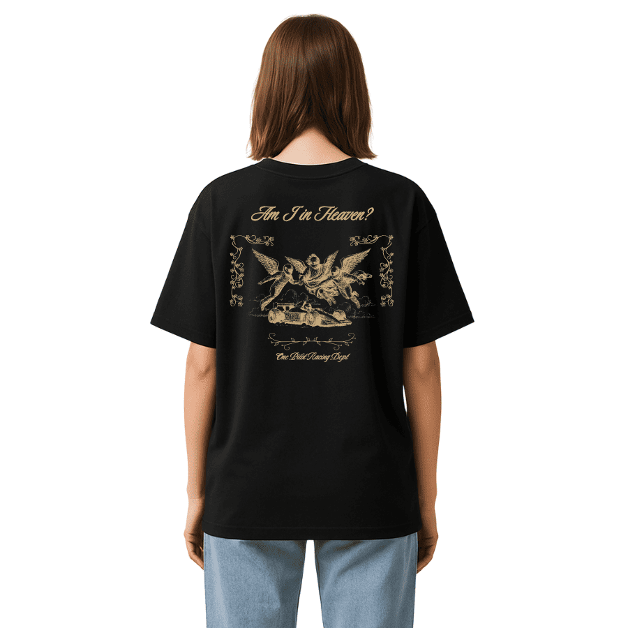 AM I IN HEAVEN? (T shirt)