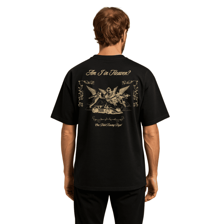 AM I IN HEAVEN? (T shirt)