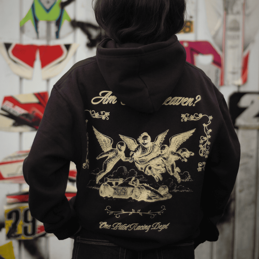 AM I IN HEAVEN? (Hoodie)
