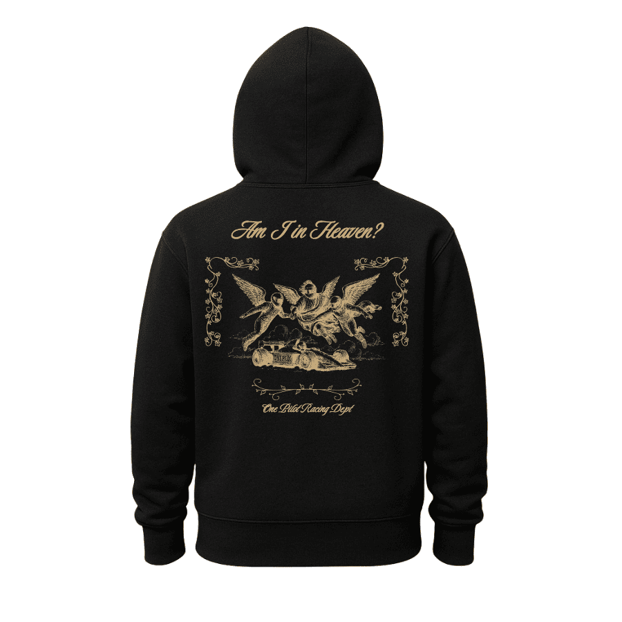 AM I IN HEAVEN? (Hoodie)