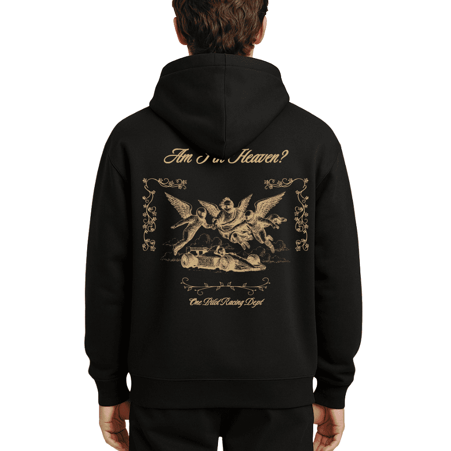 AM I IN HEAVEN? (Hoodie)